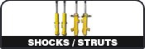 Shocks / Struts