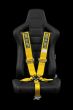 Braum 5 Point 3inch SFI Approved Racing Harness - Universal